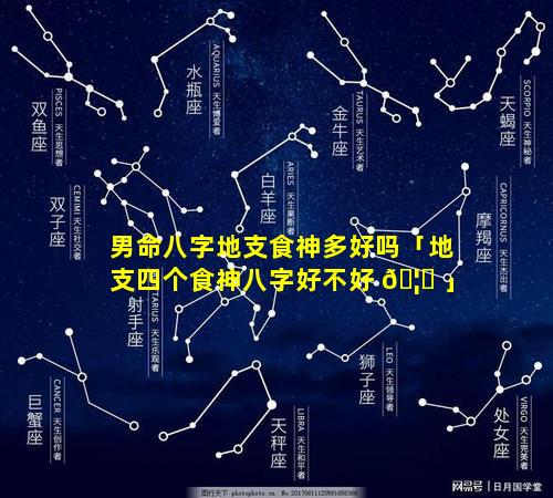 男命八字地支食神多好吗「地支四个食神八字好不好 🦟 」